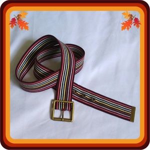 AEO Striped Elastic Buckle Belt